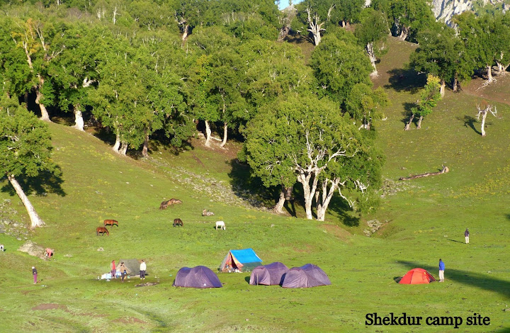 Kashmir great lakes trek