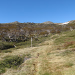 the faint grassy service trail (87841)