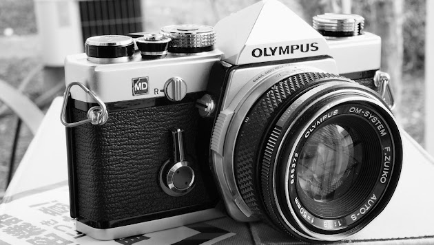 Cover photo