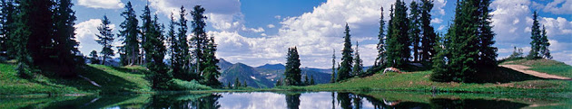 Cover photo
