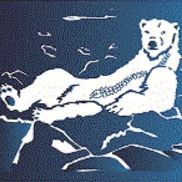 Arctic Chiropractic logo