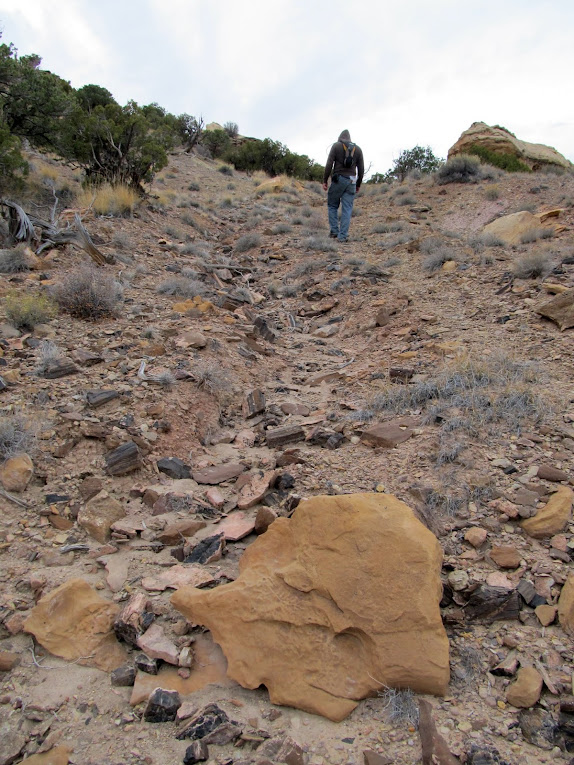 Hiking up the mining track with petrified wood littering the ground