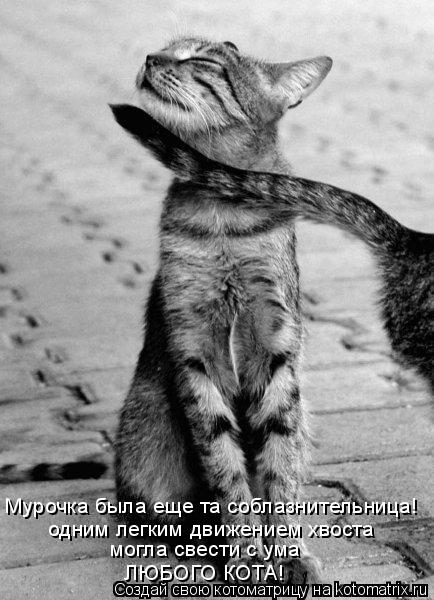 Ни дня без улыбки. Женщина - это образ, стиль и уровень жизни мужчины. Ни дня без улыбки. Женщина - это образ, стиль и уровень жизни мужчины.