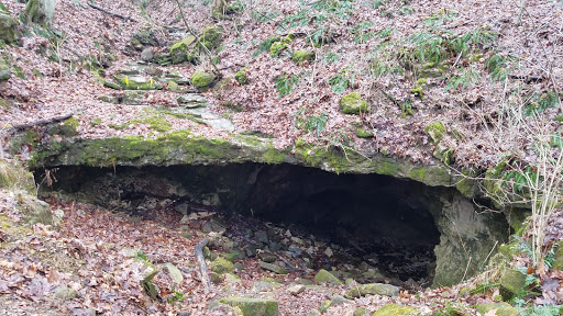 Nature Preserve «Buckner Cave», reviews and photos, W Eller Rd, Bloomington, IN 47403, USA