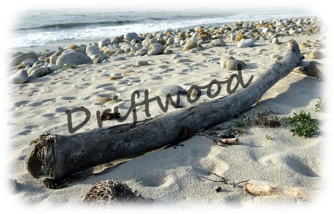 Driftwood+Banner.png