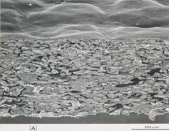 顯微鏡下的超極細纖維圖