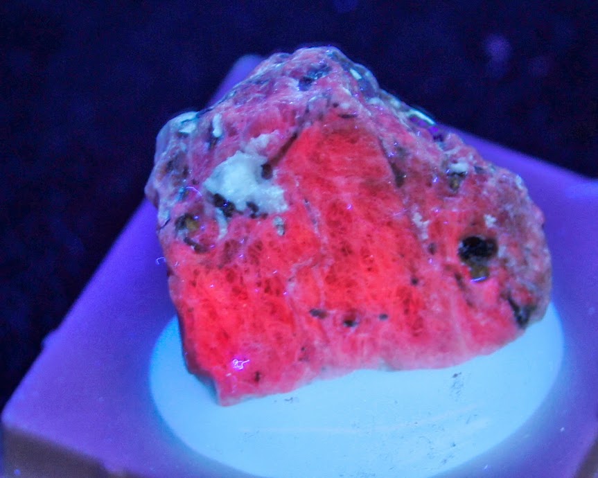 Colección de Minerales Fluorescentes - Página 3 Corind%25C3%25B3n+var.+Rub%25C3%25AD%252C+Mysore%252C+India.UV