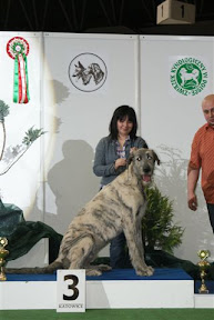 LORD LEOPIN Festina.JPG