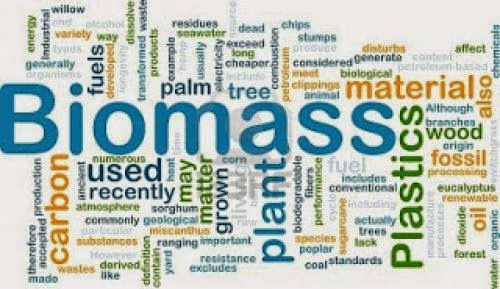 Legacy Biomass Law Takes Effect