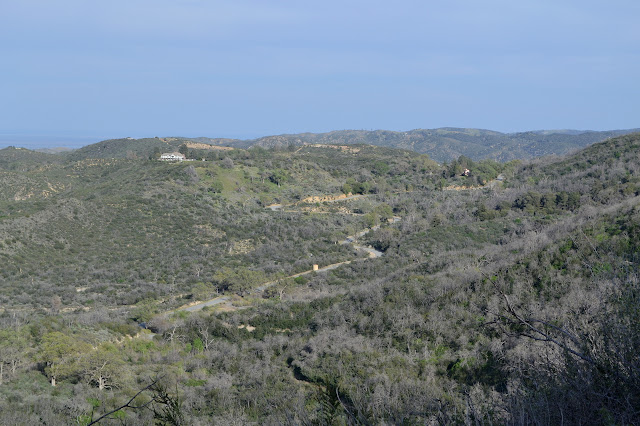 chaparral, trees, and a house on a hill