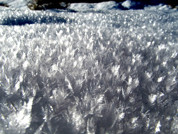 Frost crystals on top of the snow