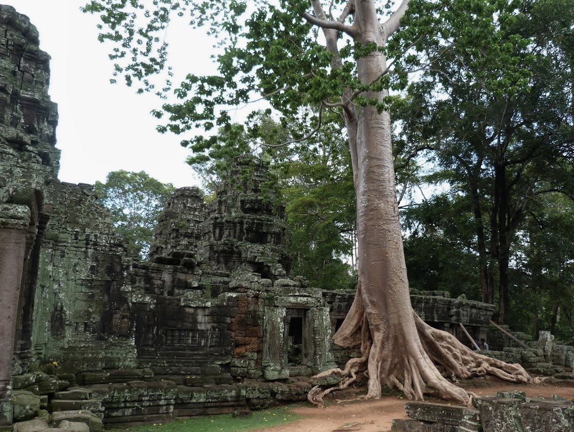 Ruta/Recorrido Corto por los Templos de Angkor - Vietnam, Templos de Angkor y Preah Vihear (12)