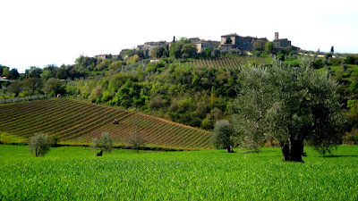 The abbot's village - Castelnuovo dell'Abate near Sant'Antimo abbey