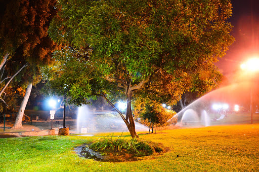 Garfield Park