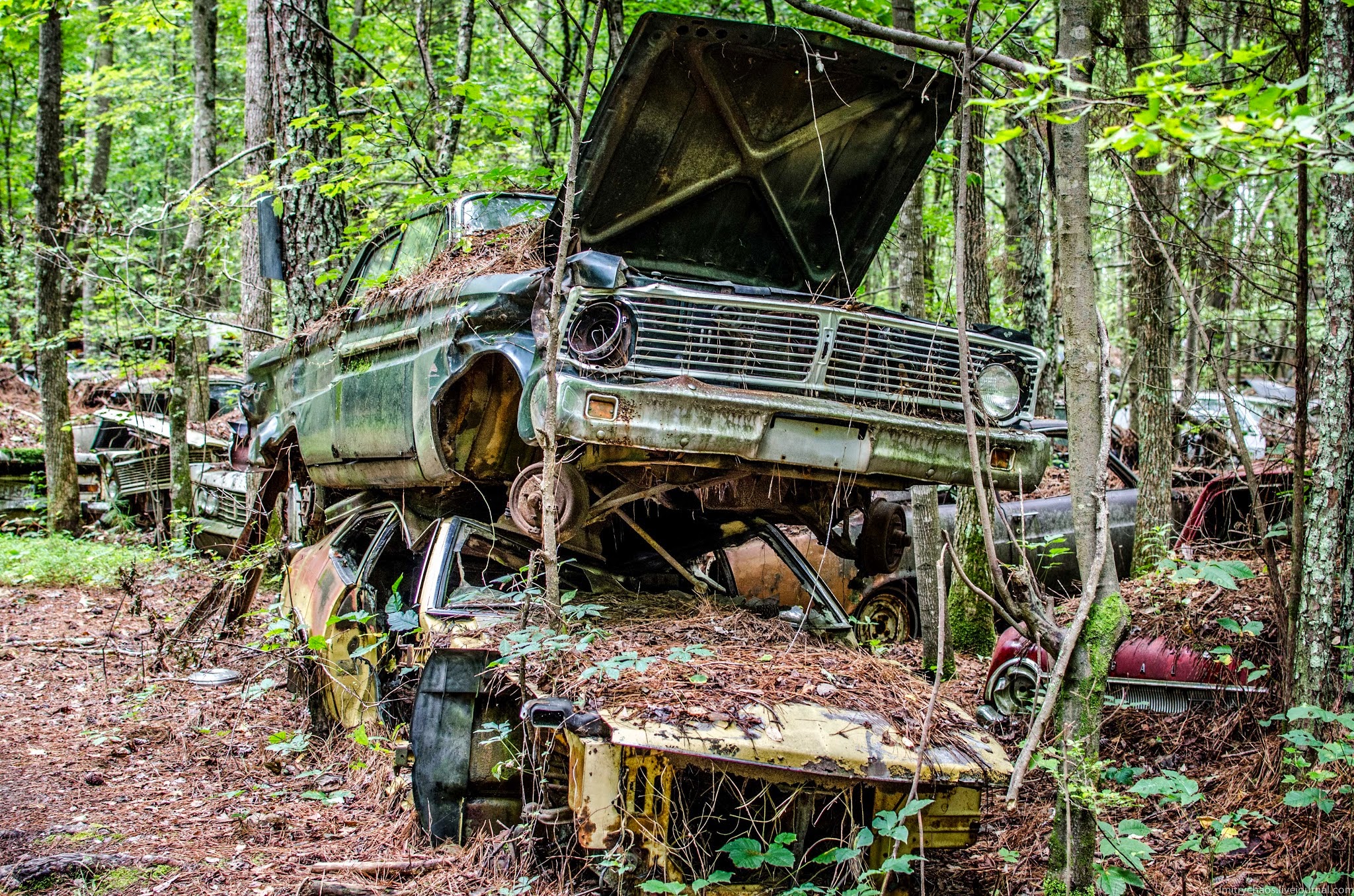 Кладбище старых автомобилей Old Car City