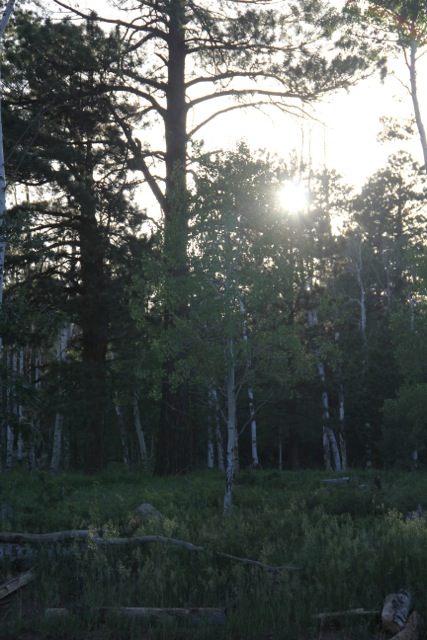 IMG_4684.jpeg