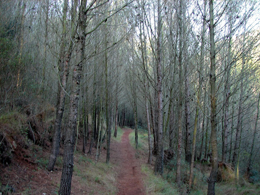 Senederismo: Onda - Pepes - Montí - Coves Gelades