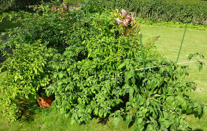 P1120269.JPG