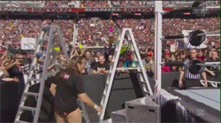 5. Seth Rollins vs. Roman Reigns vs. Edge vs. Kevin Steen vs. Daniel Bryan vs. Finn Balor - GTS Match  Untitled-59