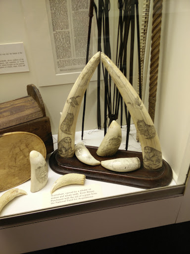 Stromness Museum