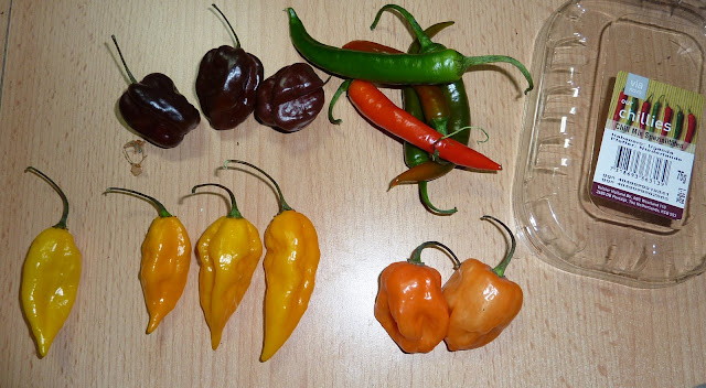 P1150136.JPG
