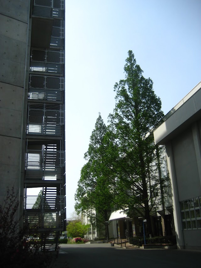 福岡大学