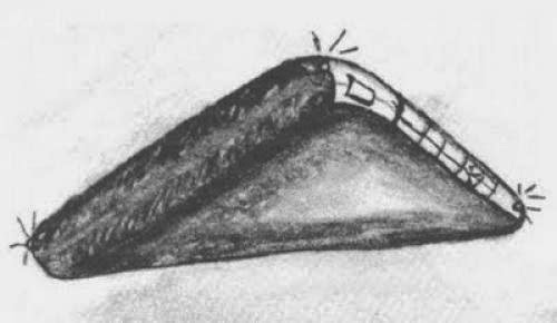 The Flying Saucer Ufo Wave 1947