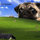Evgeniy Pro's user avatar