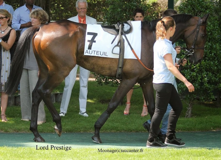 Photos Auteuil 8-06-2014  - Page 2 IMG_1844