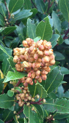 https://lh6.googleusercontent.com/-9atwvYKMEJs/Tt25FDfEXaI/AAAAAAAAAC8/0-UlW1bZFCA/s512/DSC_0123.jpg