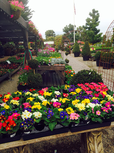 Rogers gardens flowers, gardening, the style sisters