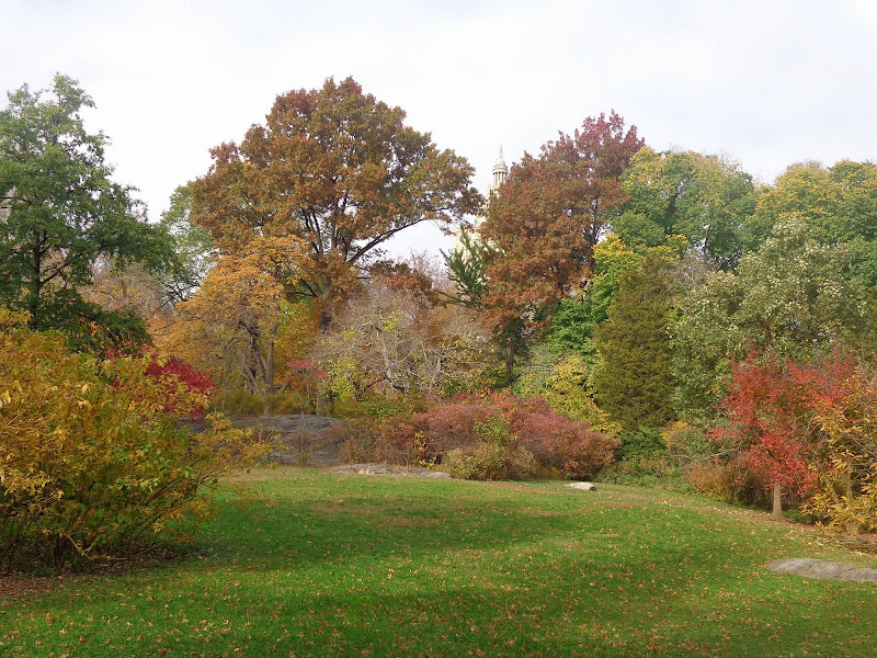 Честное октябрятское, на Евродаме можно жить! Октябрь 2013, круиз по Карибам
