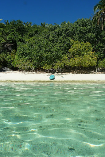 Tonga, el último reino del Pacífico - Blogs de Tonga - Vava’u: playa, tranquilidad y ballenas (9)