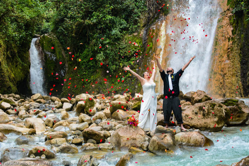 Catarata Del Toro