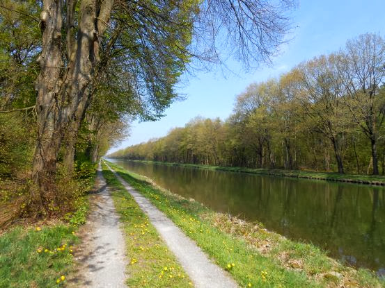 Nicht-asphaltierter Radweg am Dortmund-Ems-Kanal im Münsterland