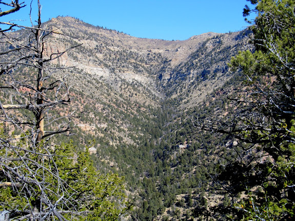 View along the fork of Cordingly Canyon where the Aberdeen Mine lies
