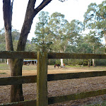 Horse Paddock at the old Megalong Village site (411707)