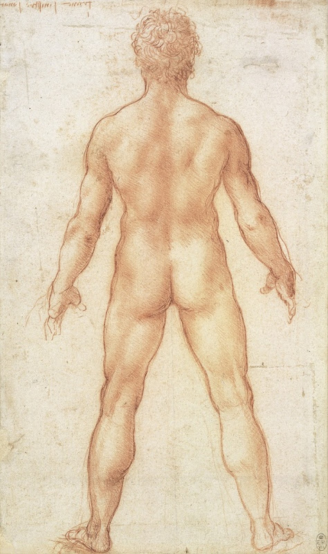 nude man Lukisan Leonardo Da Vinci tentang anatomi manusia