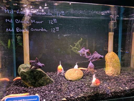 Pond Fish Supplier «Ultimate Aquarium Inc», reviews and photos, 2625 S El Camino Real, San Mateo, CA 94403, USA