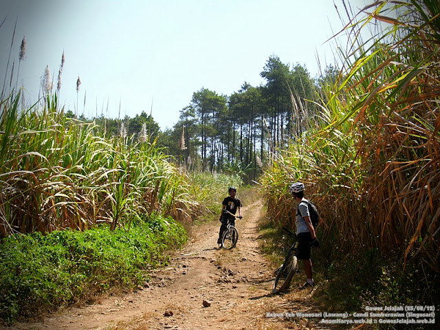 Gambar 3