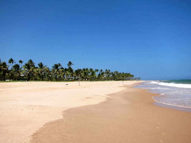 Day Tour in Bahia, Brazil