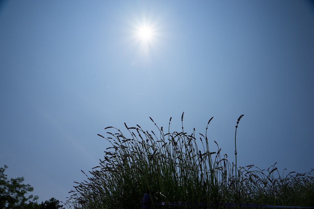 太陽の光を浴びて。。。