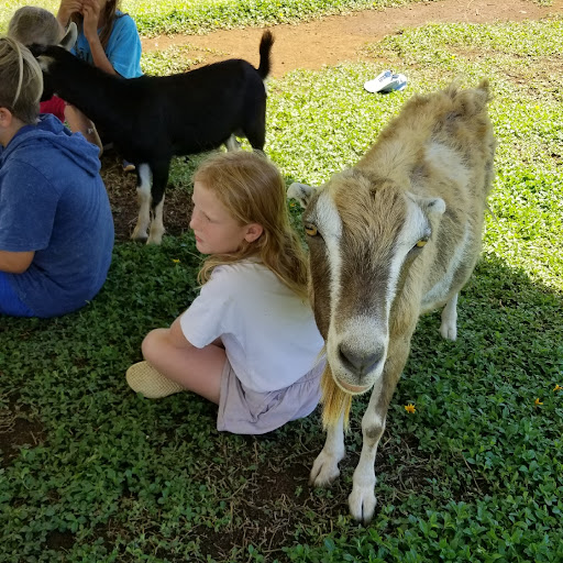 Kauai Animal Education Farm (KAEF)
