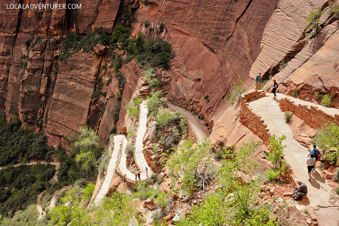 West Rim Trail (15 Best Hikes in Zion National Park).