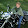 PJ Fiala PJ Fiala's profile photo