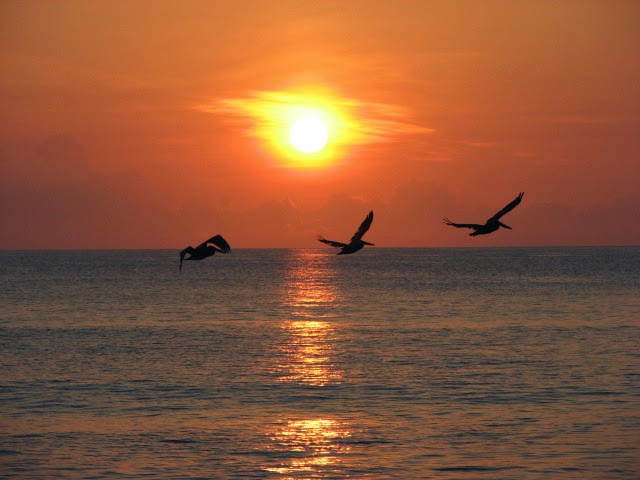 Sunrise photo in Indian Harbour Beach, Florida