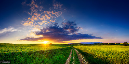 posted image