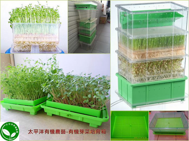 全自動芽菜機 可無限疊層有機芽菜培育箱 水耕盤