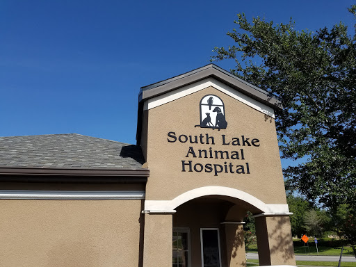 Animal Hospital «South Lake Animal Hospital», reviews and photos