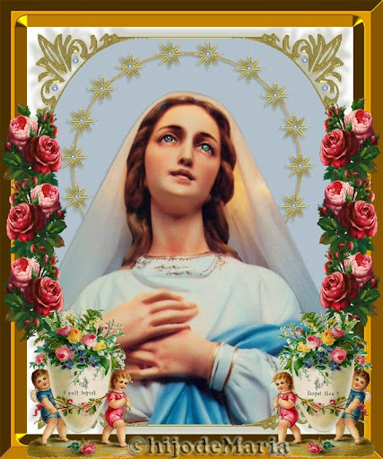 ¿Quién es esa Estrella que a las almas guía? ¡La Reina del Cielo, la Virgen María!